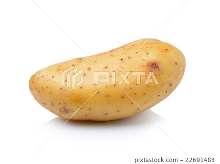 potato isolated on white background potato isolated on white background 22691483