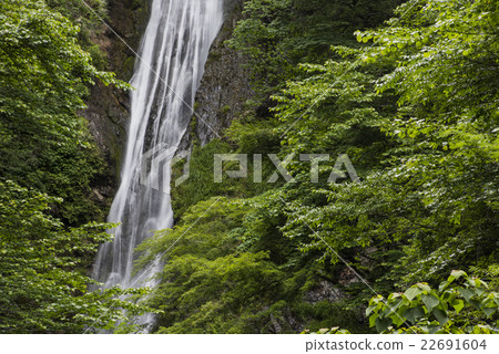 Wakaba的夢幻般的瀑布 Wakaba的夢幻般的瀑布 22691604