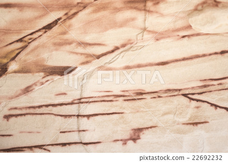 Sandstone natural texture 22692232