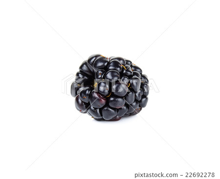Single fresh blackberry isolated on white Single fresh blackberry isolated on white 22692278
