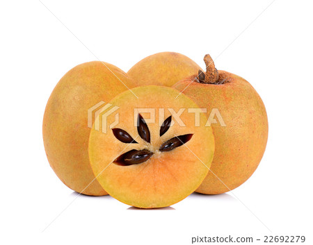 Sapodilla isolated on the white background Sapodilla isolated on the white background 22692279