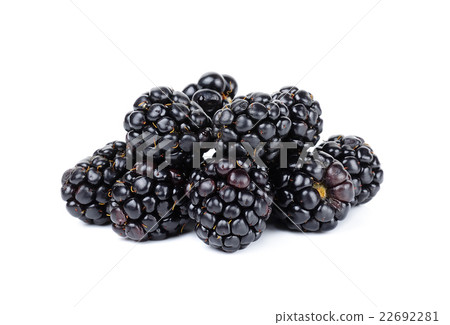 blackberry isolated on white bakcground 22692281