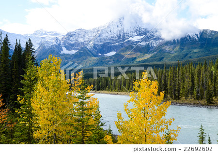 秋天風景的加拿大洛基冰·場·大路 22692602