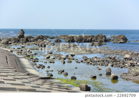 Senjojiki海岸 Senjojiki海岸 22692709