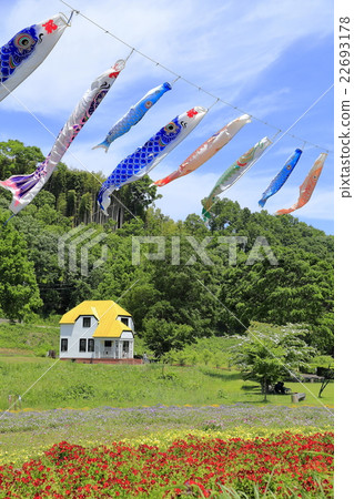 新鮮的綠色和鯉魚飄帶 22693178