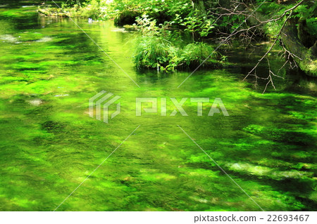 Shimizu River and Baikamo 22693467