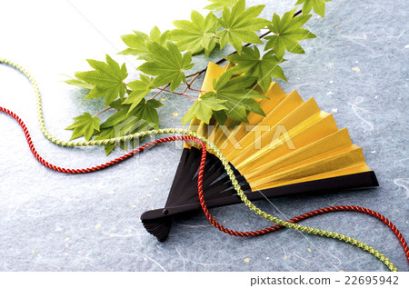 Japanese style material Japanese style material 22695942