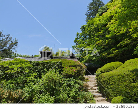 京都·資生堂 22696152