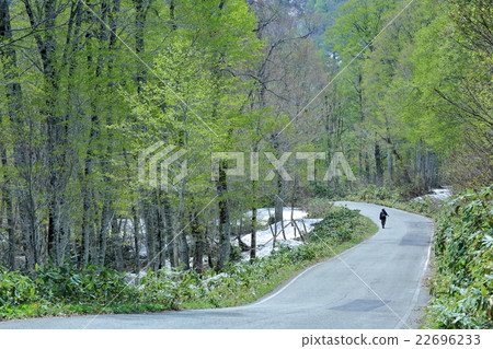 Fresh green of Minami Aizu Fresh green of Minami Aizu 22696233