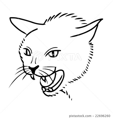 cat hand drawn cat hand drawn 22696260