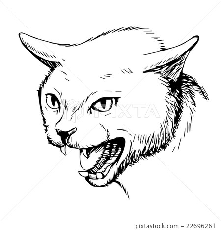 cat hand drawn cat hand drawn 22696261