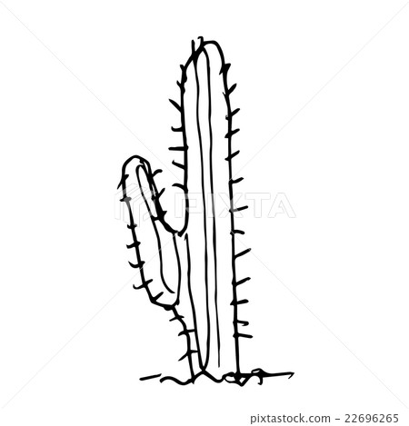 cactus doodle hand drawn cactus doodle hand drawn 22696265