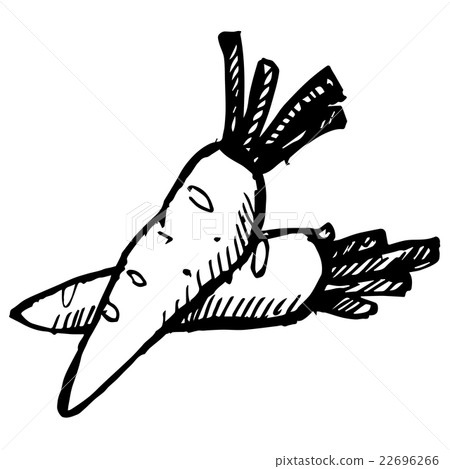 carrot doodle hand drawn 22696266