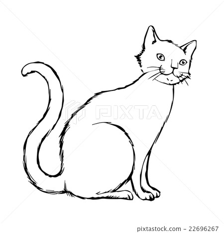 cat hand drawn cat hand drawn 22696267