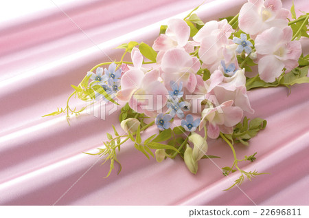 鮮花和懸垂 22696811