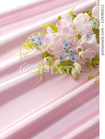 鮮花和懸垂 22696812