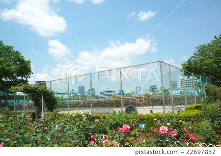 在新站附近的風景 在新站附近的風景 22697832