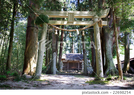 Kami River Hachiman Shrine Kurogi Sugi廣島縣莊原市高野町 22698254