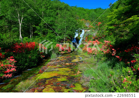 Chabo Mokeke Park 22698551