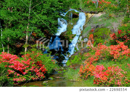 Chabo Mokeke Park 22698554