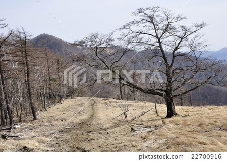Early spring's stone ridge runway and Takano nozama 22700916