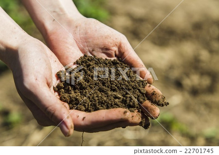 Black soil in woman hands 22701745