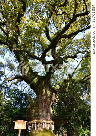 Atsuta Jingu Otsunisu (2016.4) 22701884