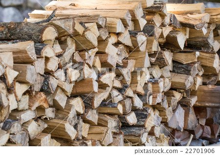 Firewood 22701906