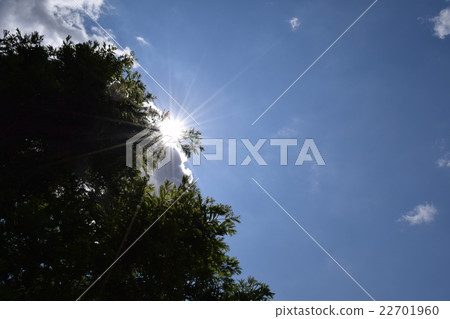 初夏的天空 22701960