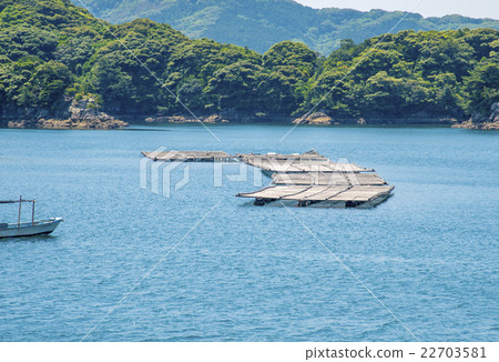 Kujukushima oyster culture fishery (Sasebo city, Nagasaki prefecture) 22703581