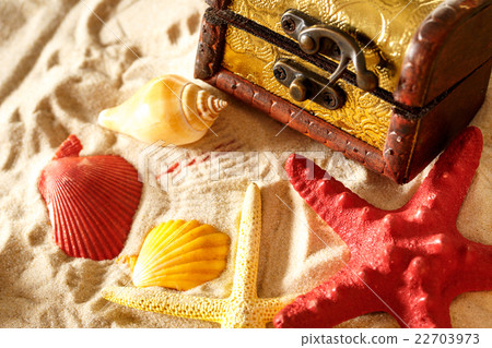 Treasure chest with seashells on sand 22703973
