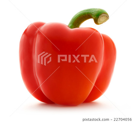 Single red paprika 22704056