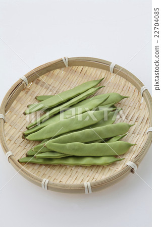 Morocco bean bird's eye view 22704085