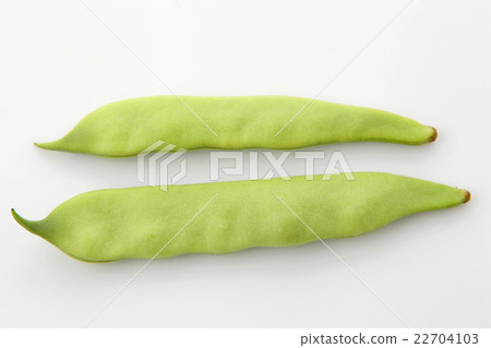 Moroccan bean Moroccan bean 22704103