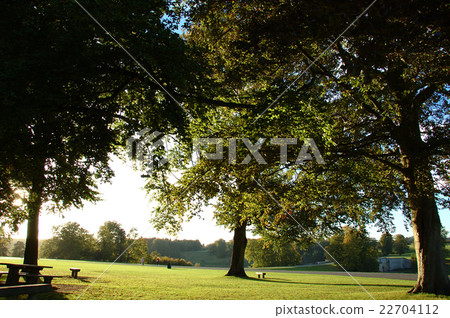 在布萊尼姆宮內的景觀 22704112