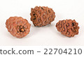 Pine cones on a white background 22704210