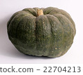 Green pumpkin for Halloween 22704213