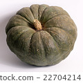 Green pumpkin for Halloween 22704214