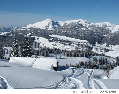 Scenery in the ski region Toggenburg 22704266