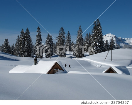 Winter scene in Toggenburg, huts and trees, snow 22704267