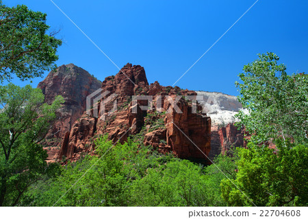 Zion National Park, USA.. Zion National Park, USA.. 22704608