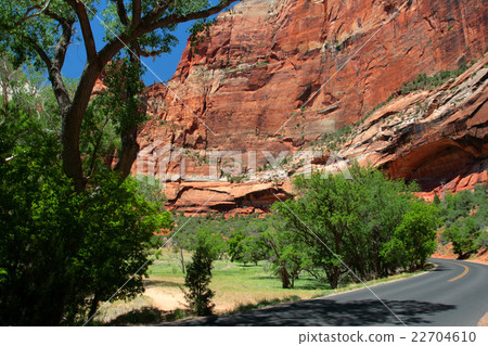Zion National Park, USA.. 22704610