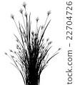 Field grass on a white background isolated 22704726