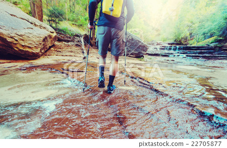 Hike in Zion 22705877