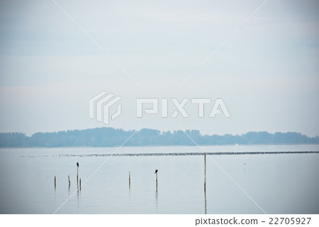 Northern Sea landscape 22705927