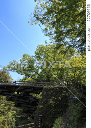 Saruhashi新鮮的綠色 22706666