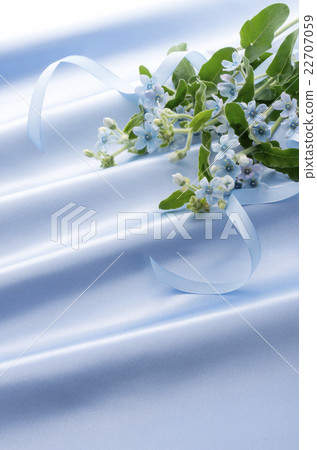 Blue Star and Drape 22707059