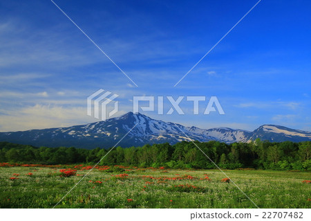 Chokaiyama mulberry wood crab marshland 22707482