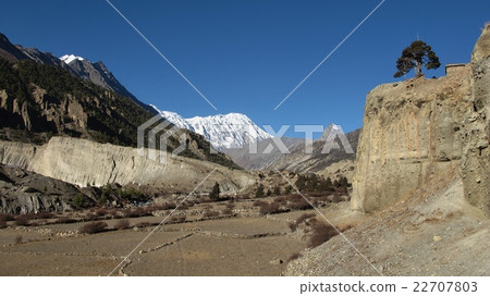 Scene in Manang Scene in Manang 22707803
