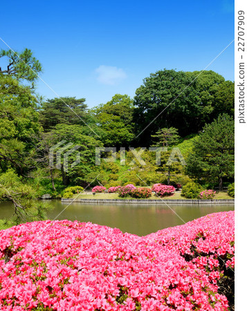 Rokugien的小月(6月)東京都文京區 Rokugien的小月(6月)東京都文京區 22707909